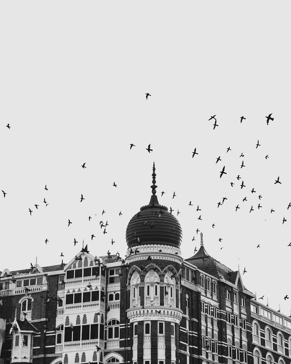 flock of birds flying over the building in grayscale photography