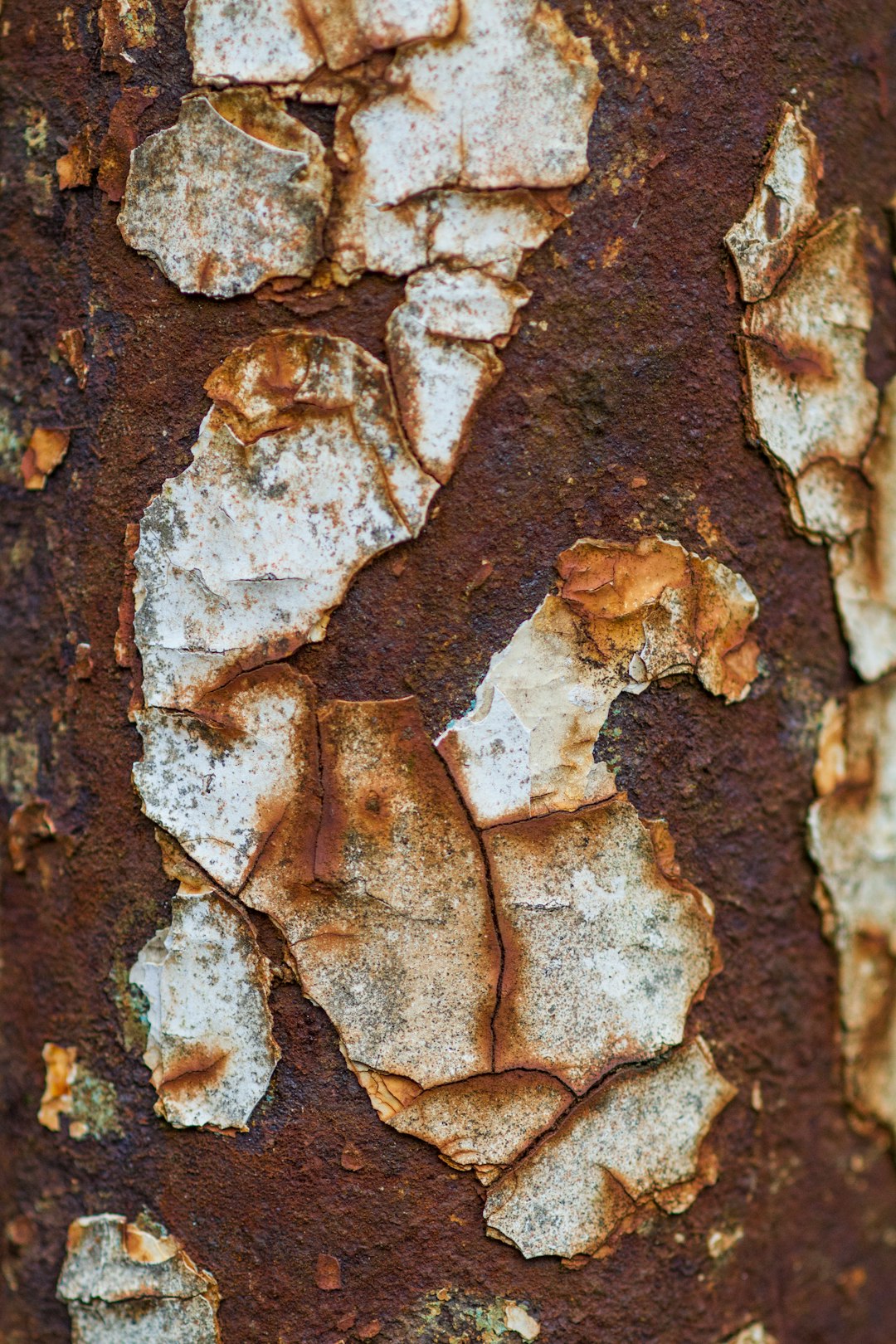 brown and white concrete wall