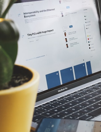 green plant in yellow pot beside gray and black laptop computer