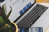 A laptop displaying a webpage is on a desk next to a potted plant. A smartphone showing a similar screen is placed in front of the laptop. The laptop's keyboard is visible, and the screen content includes text and images.