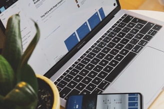 A laptop displaying a webpage is on a desk next to a potted plant. A smartphone showing a similar screen is placed in front of the laptop. The laptop's keyboard is visible, and the screen content includes text and images.