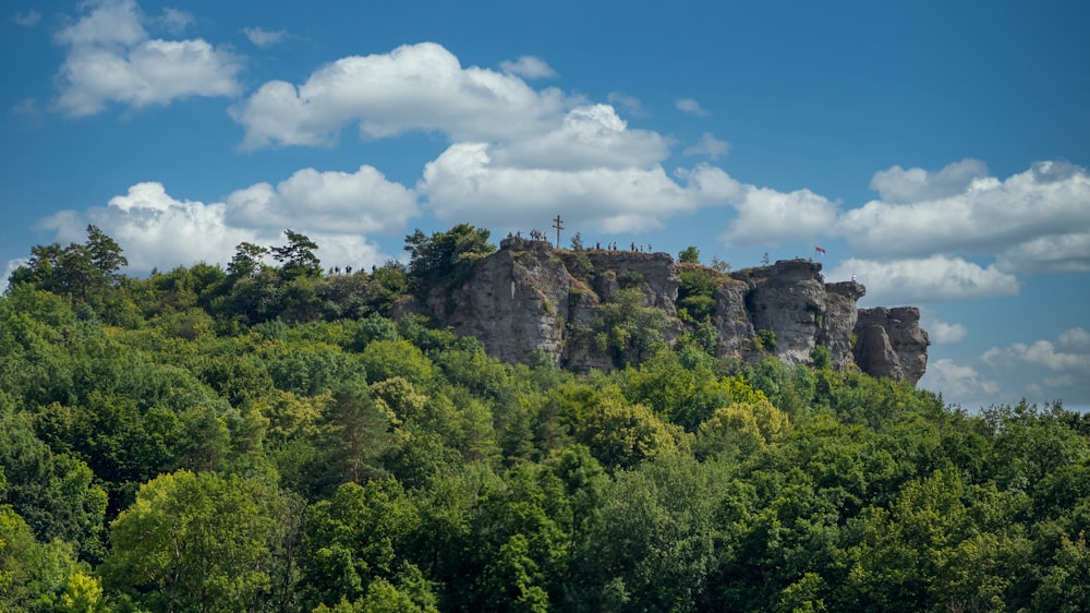 green trees on mountain under white clouds and blue sky during daytime