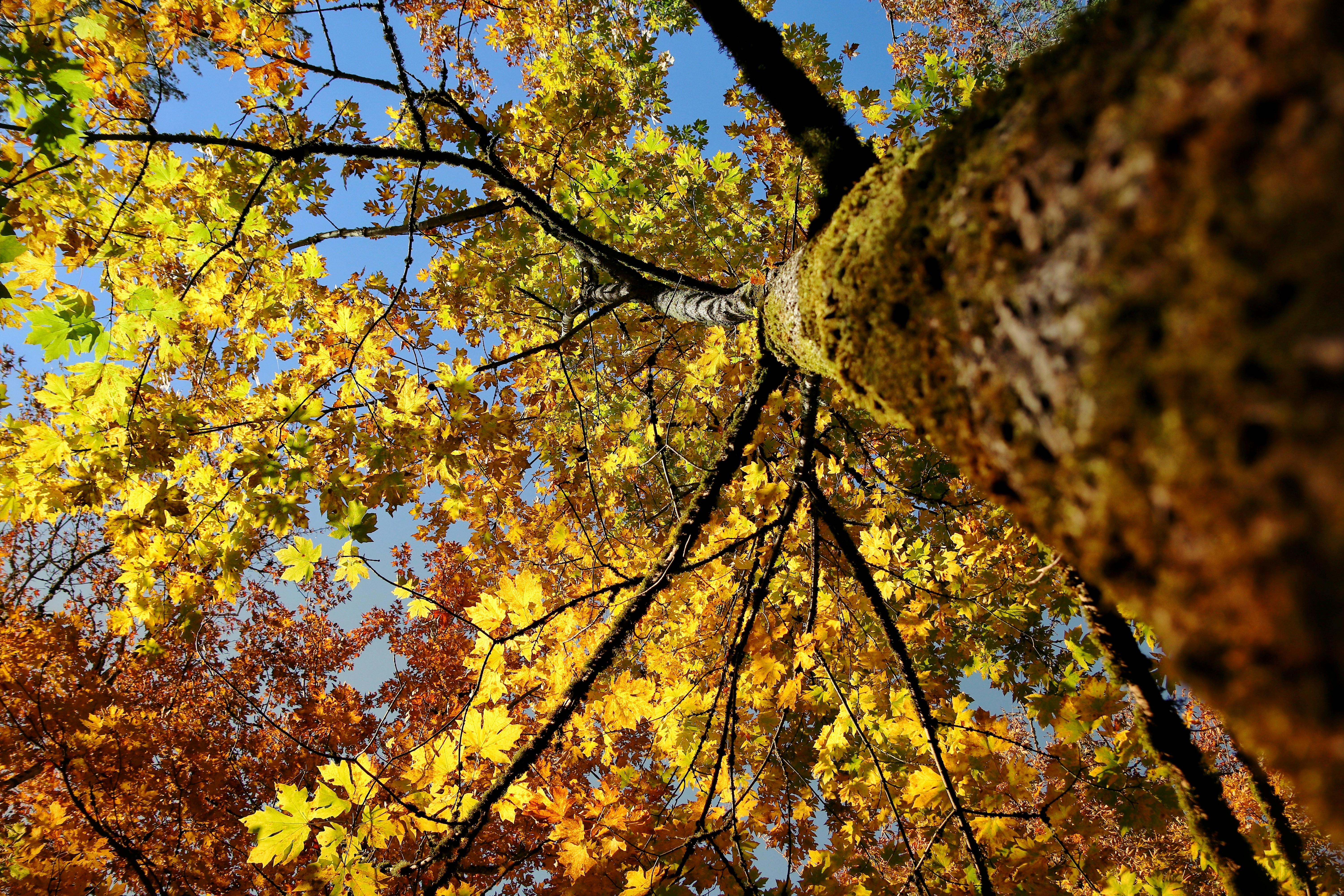 Photo by m_mendez_ix