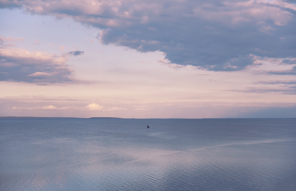 person in black jacket walking on sea water under white clouds during daytime