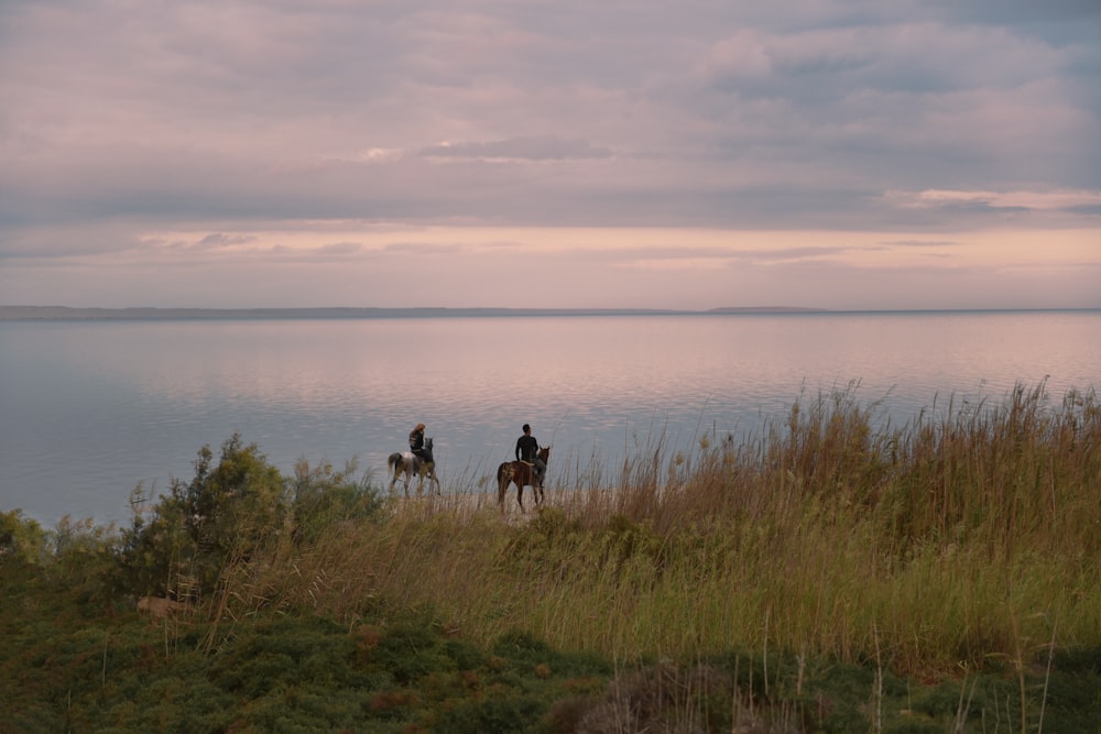 people riding horses on green grass field near body of water during daytime