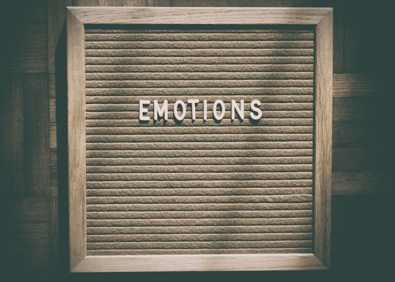 Which Human Emotion Are You Today? Understanding Your Daily Emotional Landscape