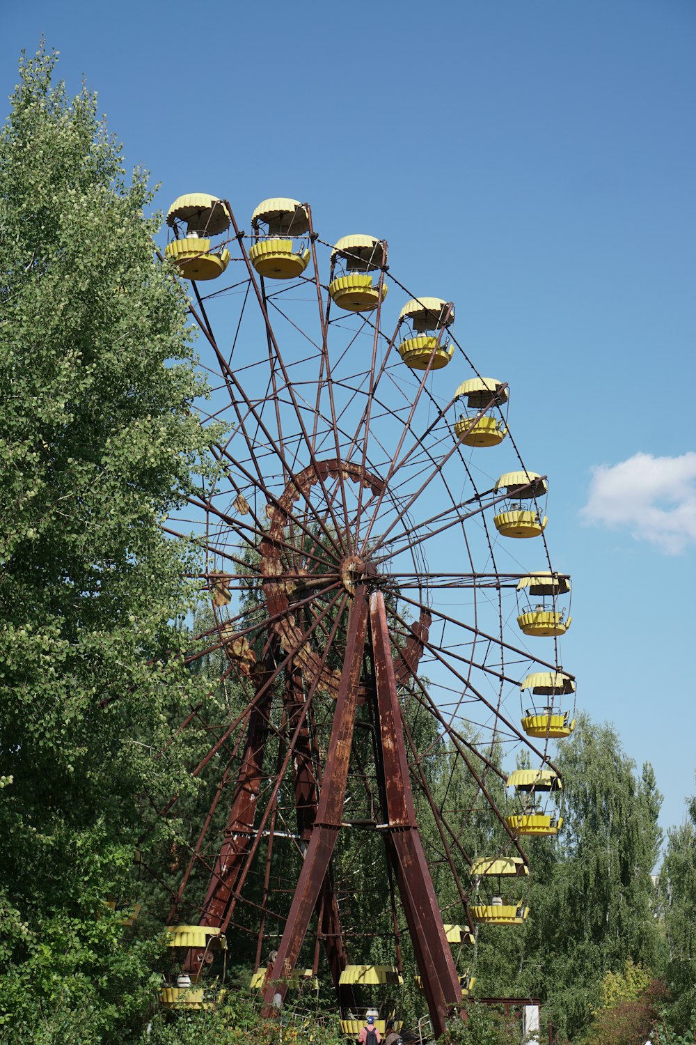 yellow and red ferris wheel