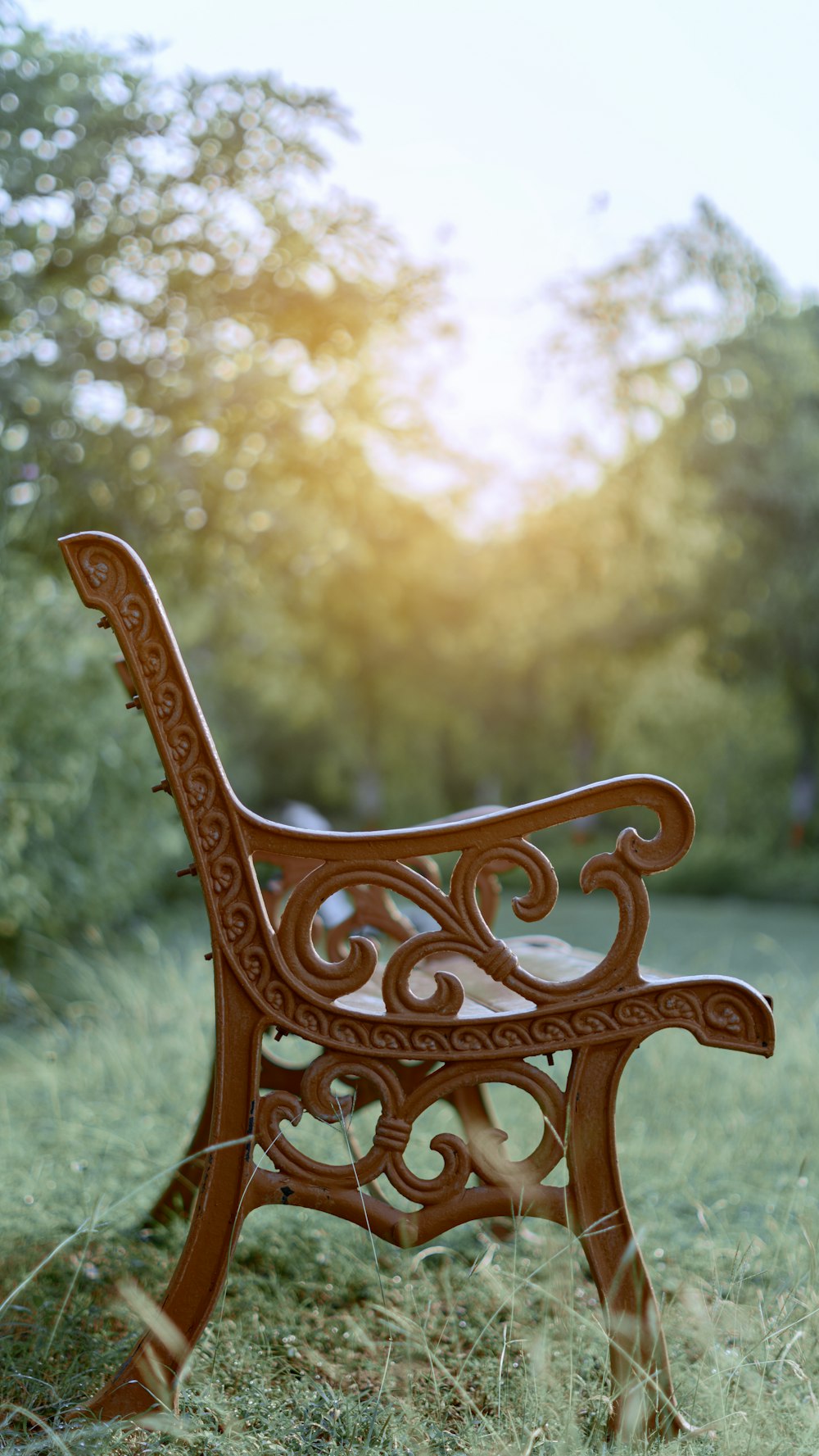 brown wooden bench near green grass during daytime