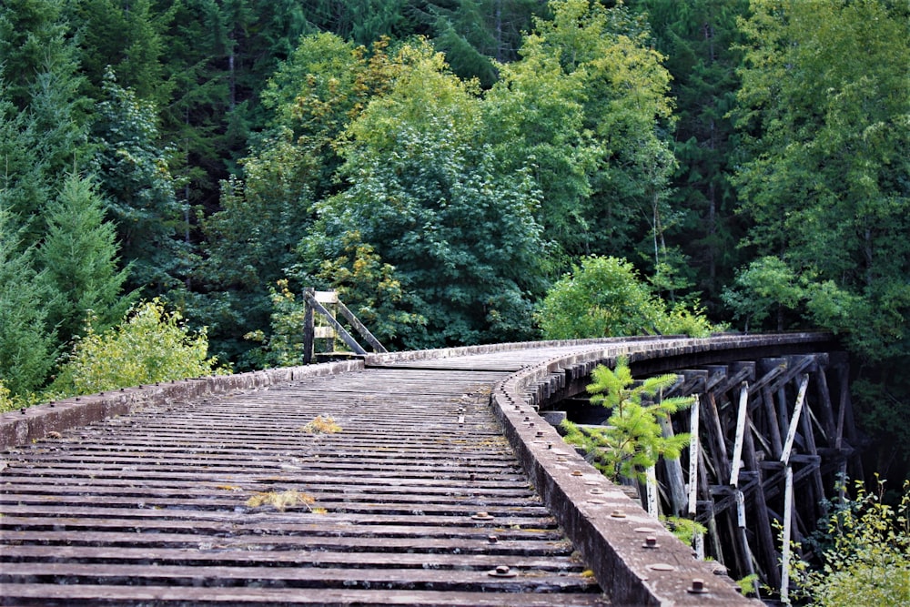 Braune Holzbrücke inmitten grüner Bäume