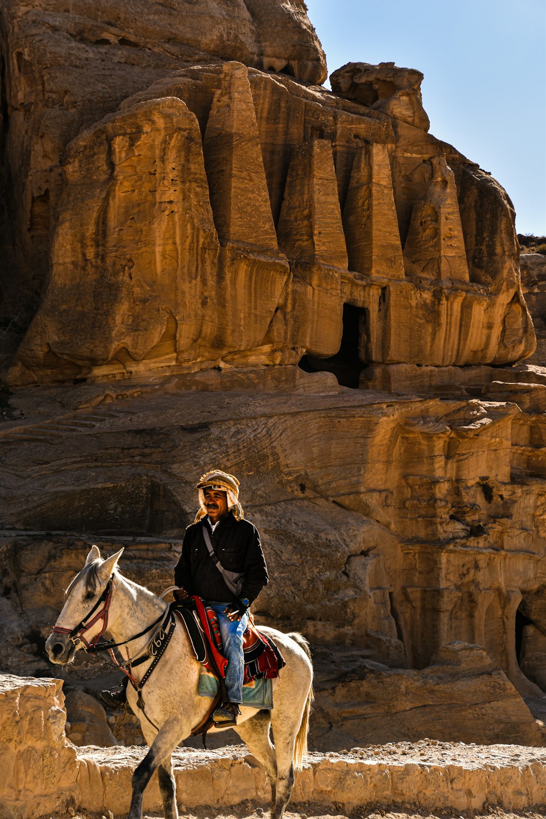 woman in black jacket standing beside white horse