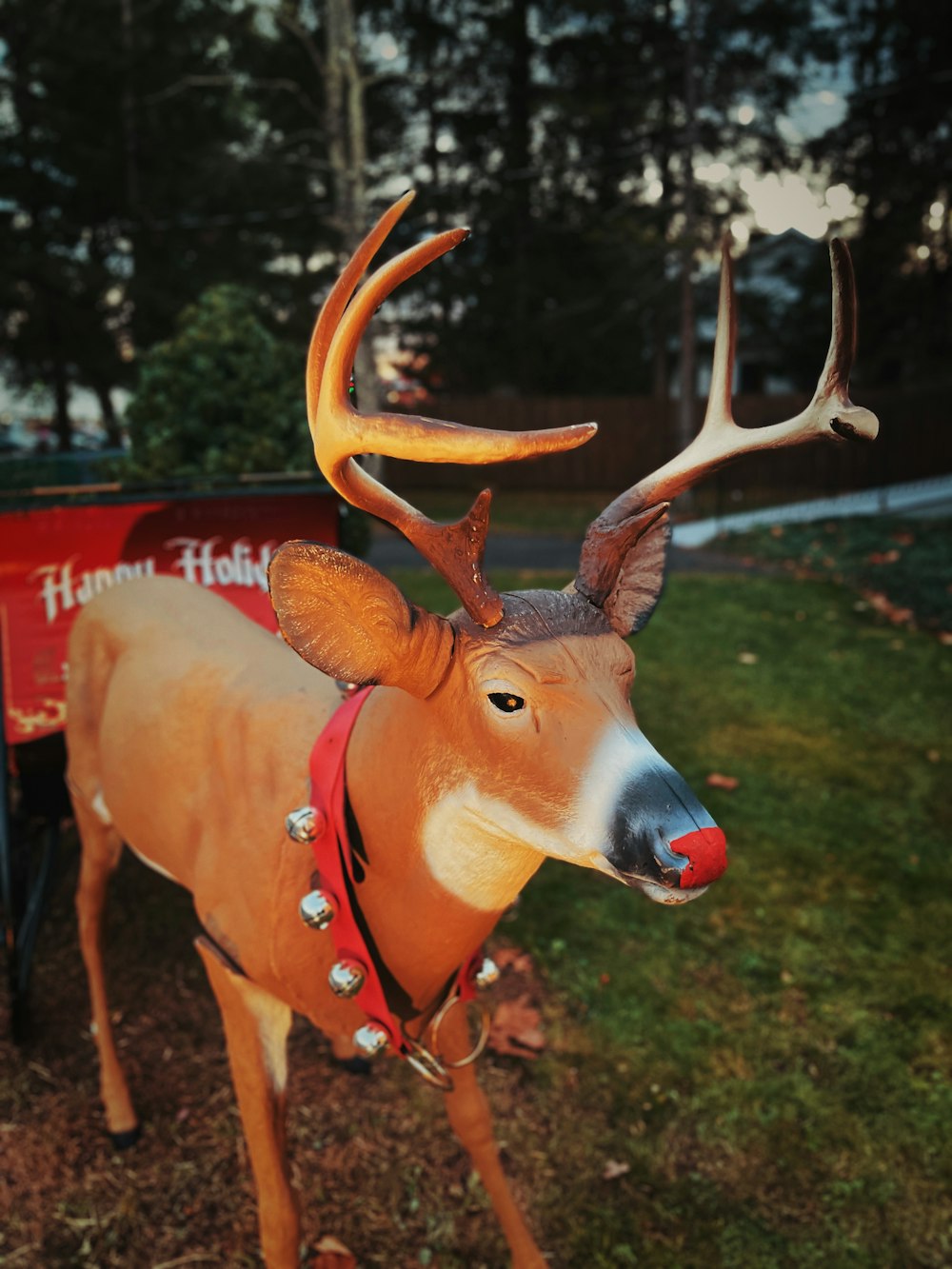 brown horse with red strap on head