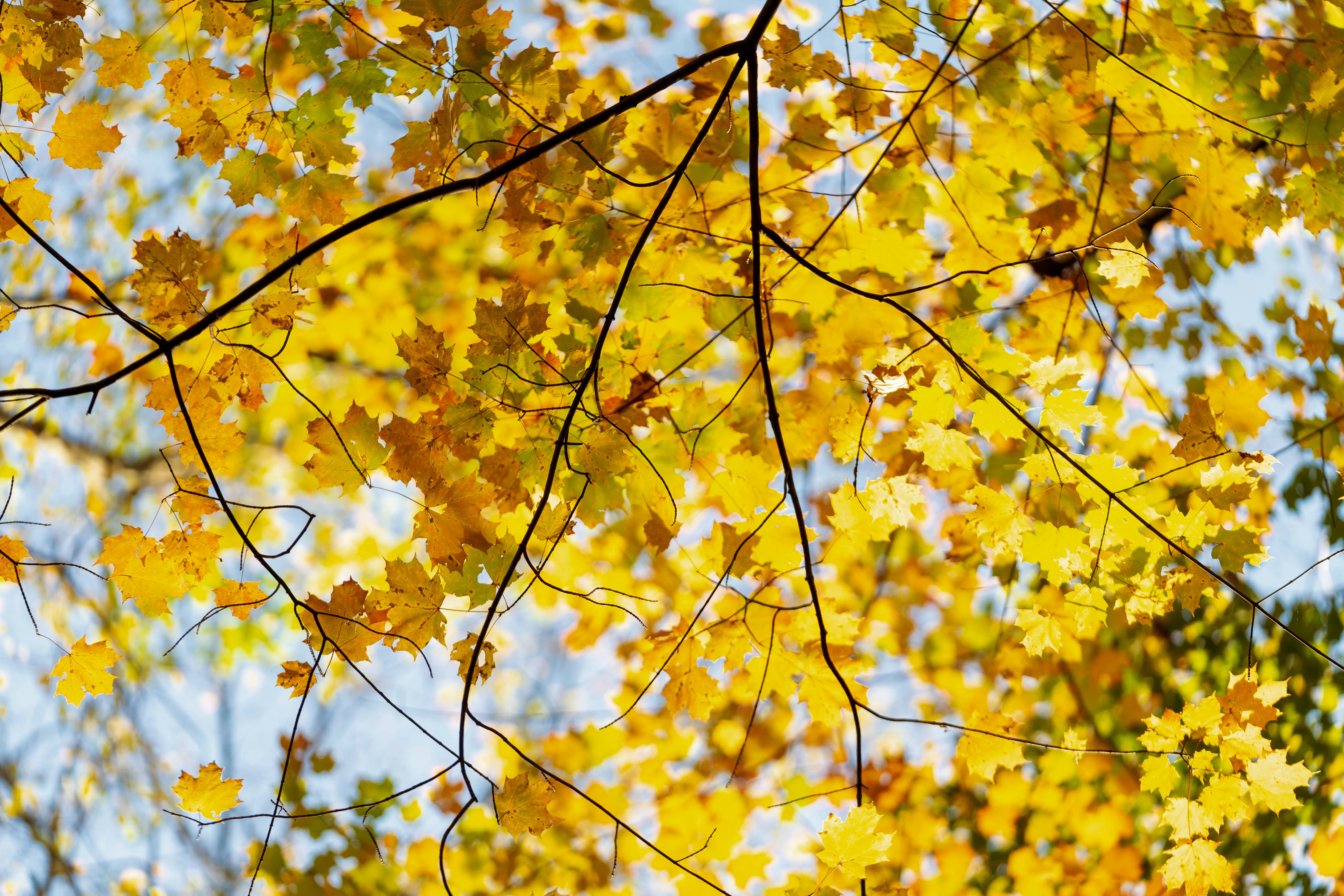 Photo by tylerdonaghy