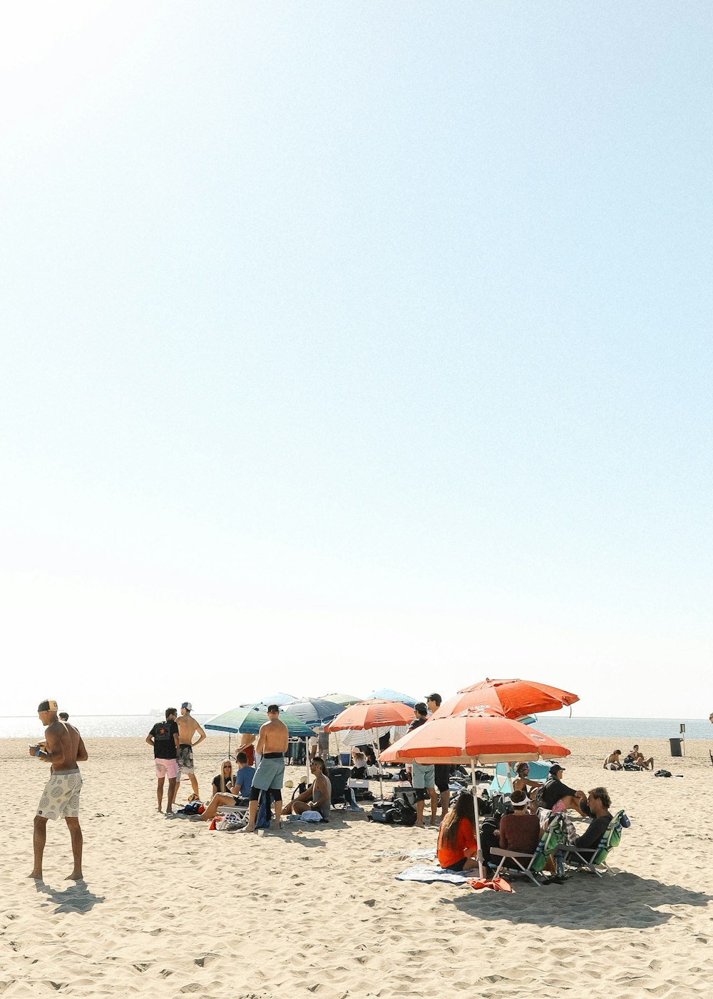 people on beach during daytime