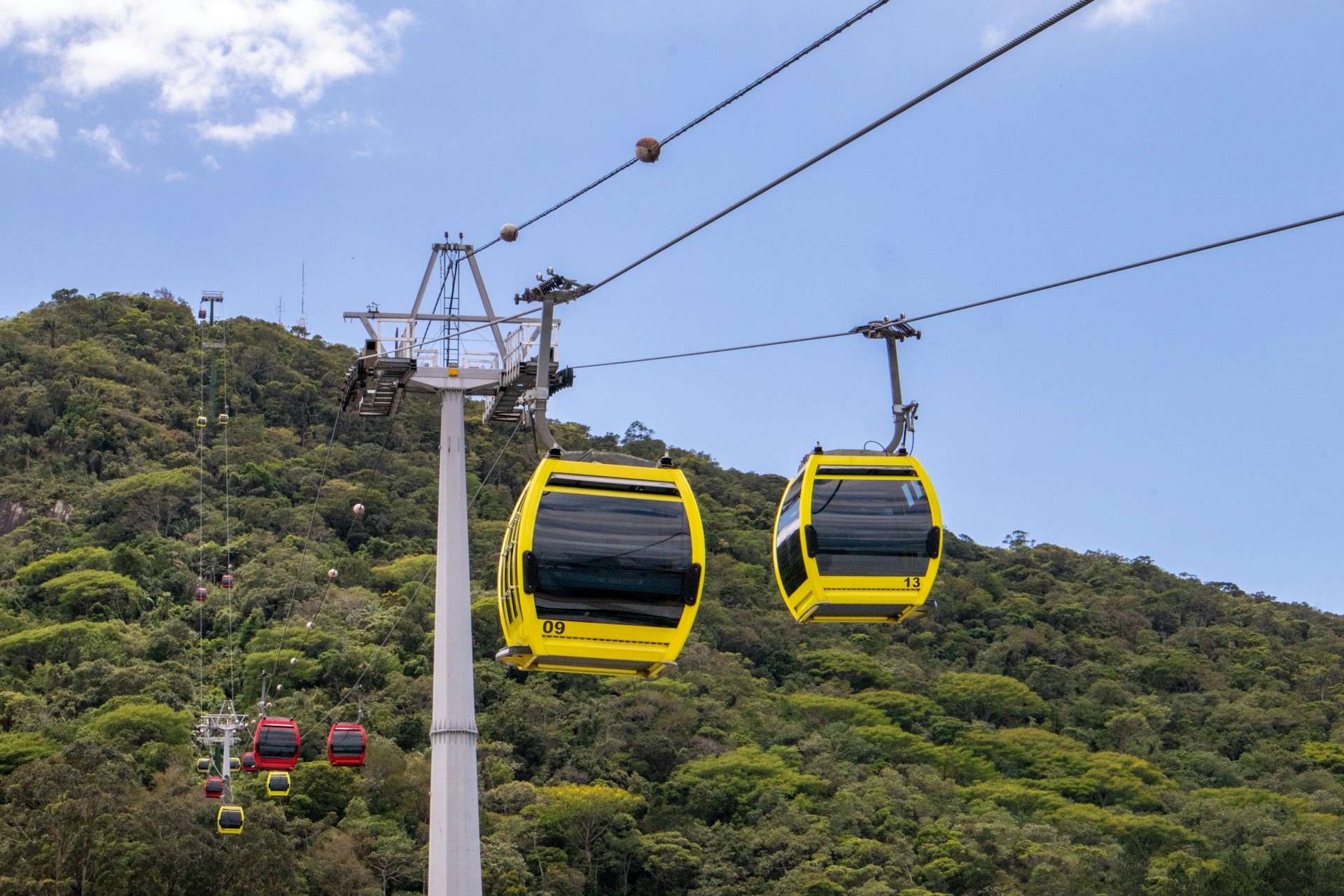 yellow cable cars over green trees under blue sky during daytime