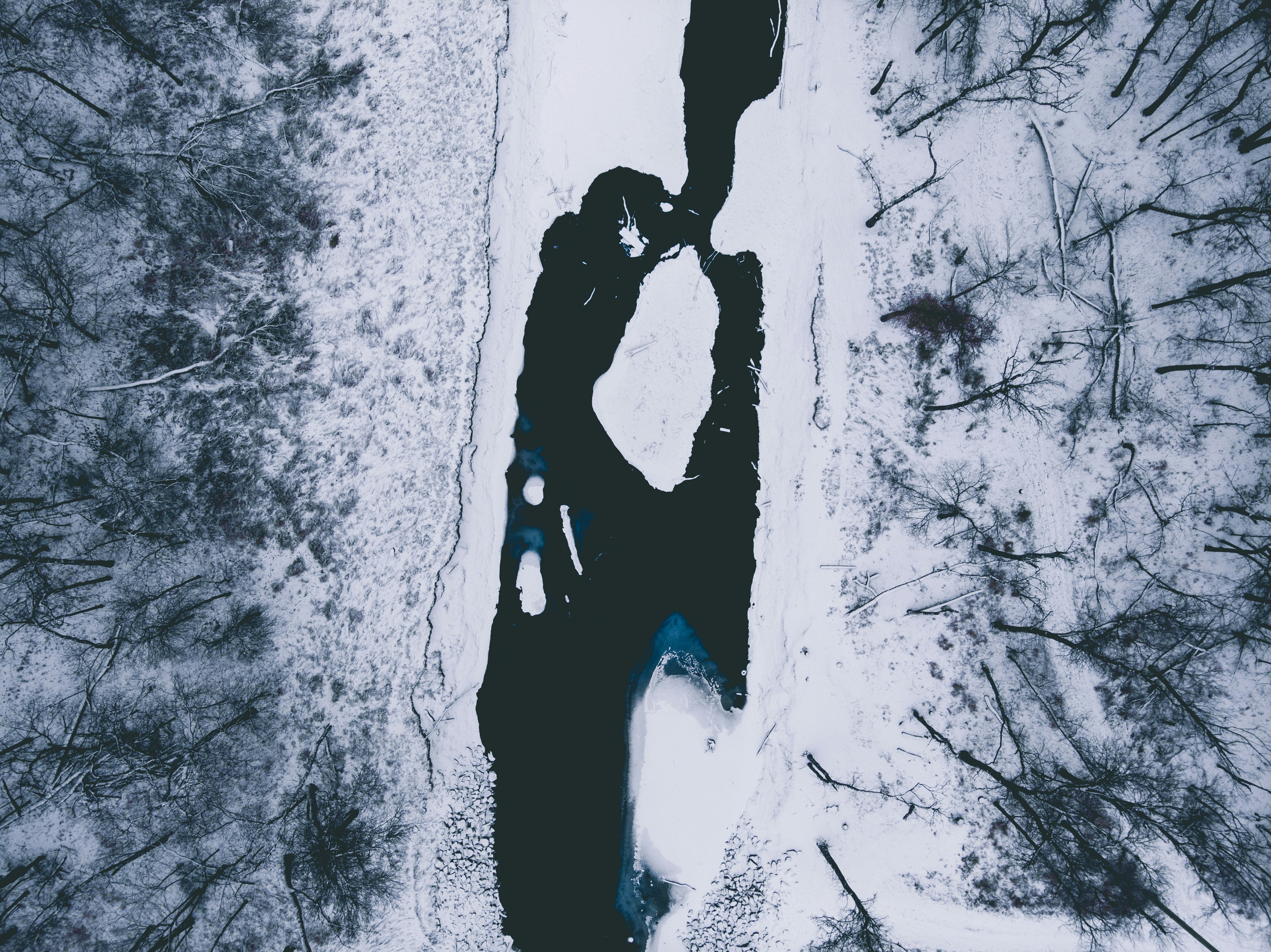 Photo by brydoncreative