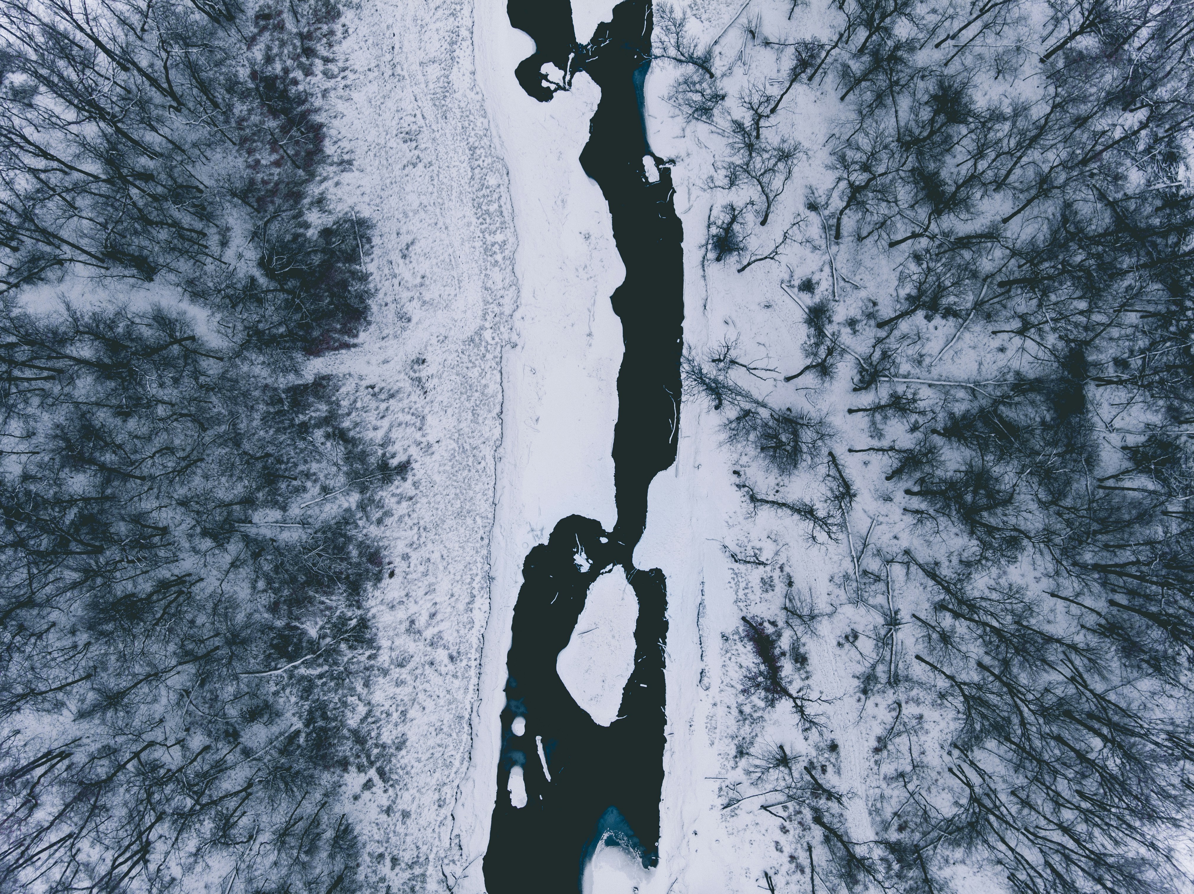 Photo by brydoncreative