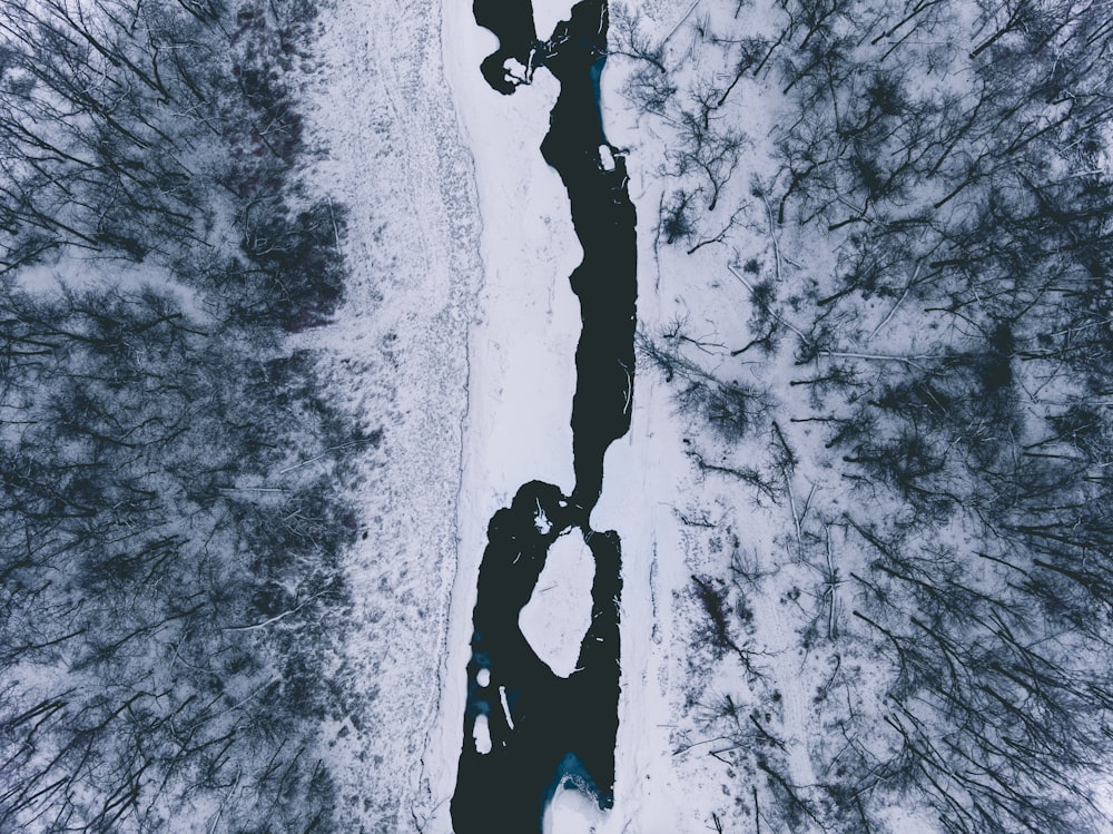 grayscale photo of man climbing on tree