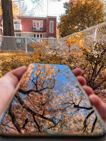 A homeowner texting on their phone with a clean yard in the background.