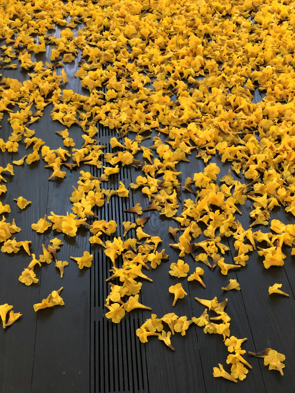 yellow flowers on brown wooden floor