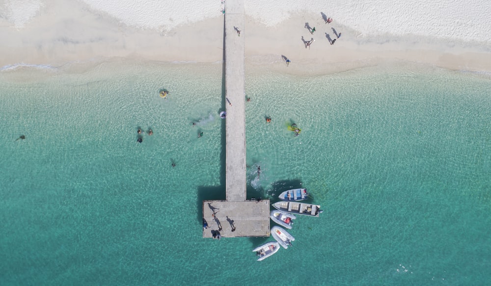 white and black boat on sea during daytime