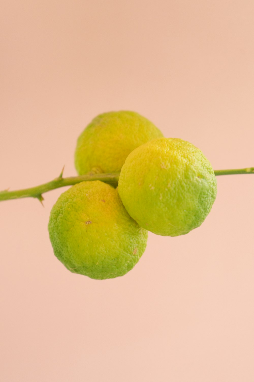 deux fruits jaunes sur fond rose