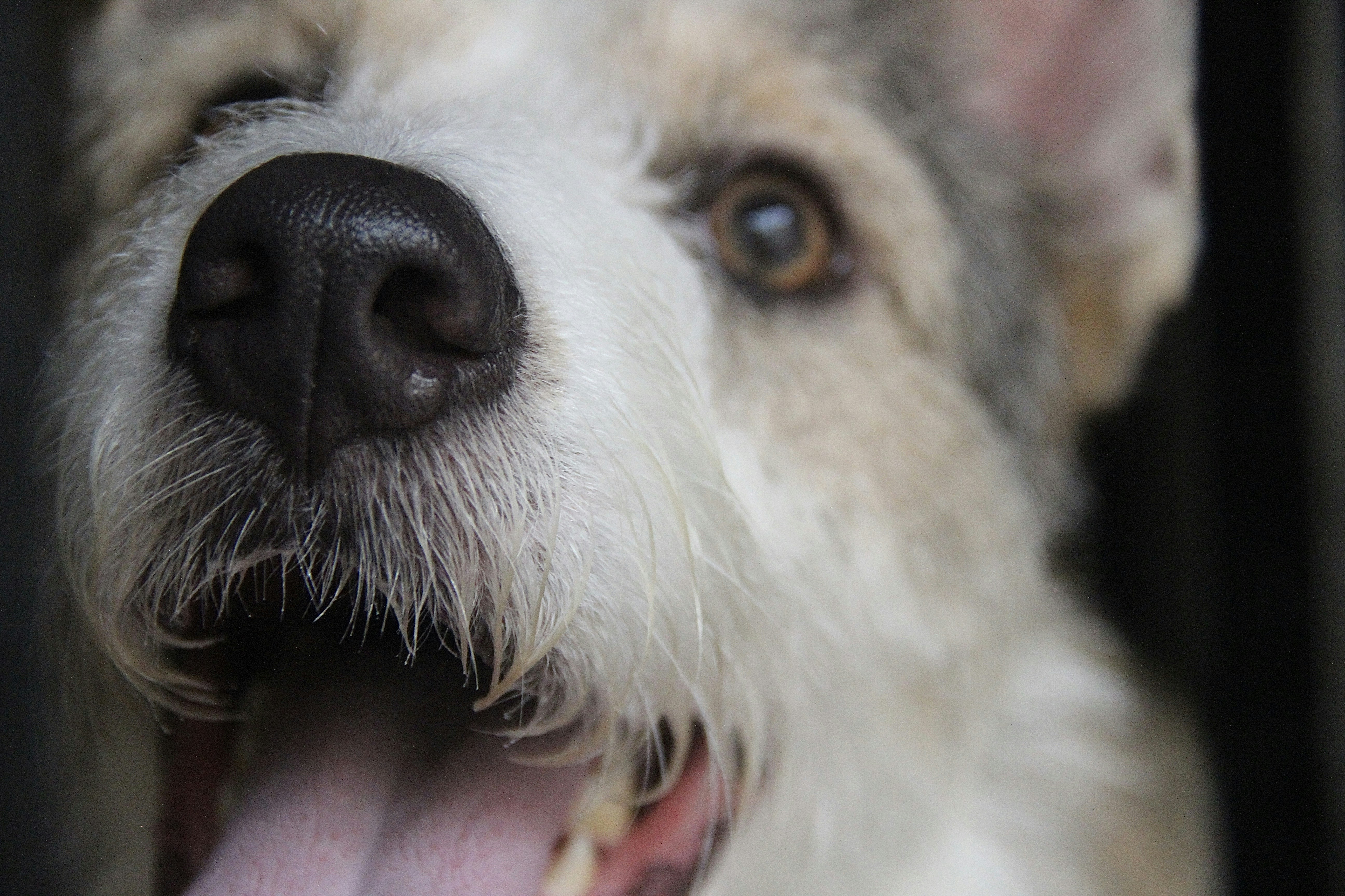 Photo by vivianeleite