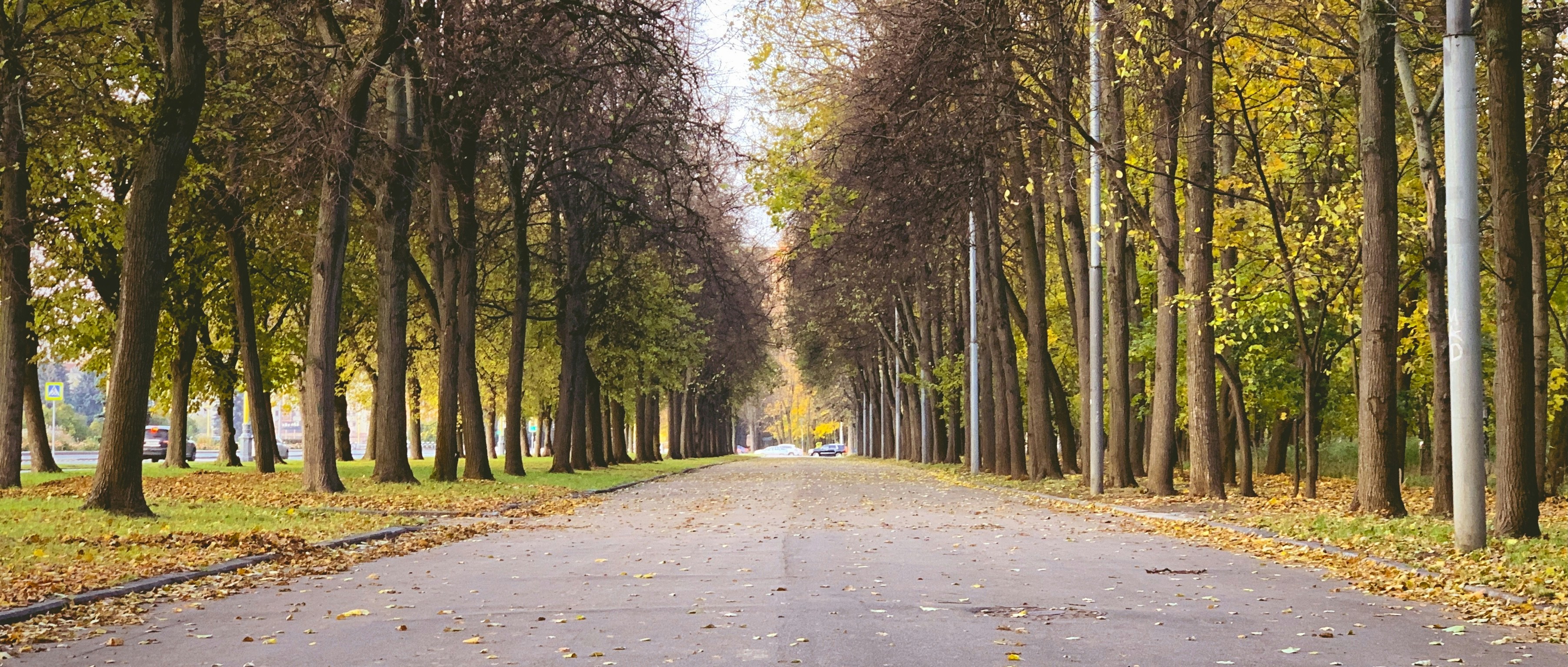 Photo by suleyman_naumov