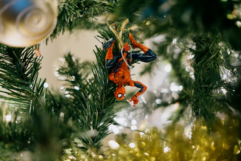 red bird on green tree