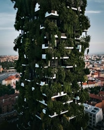 green tree near houses during daytime