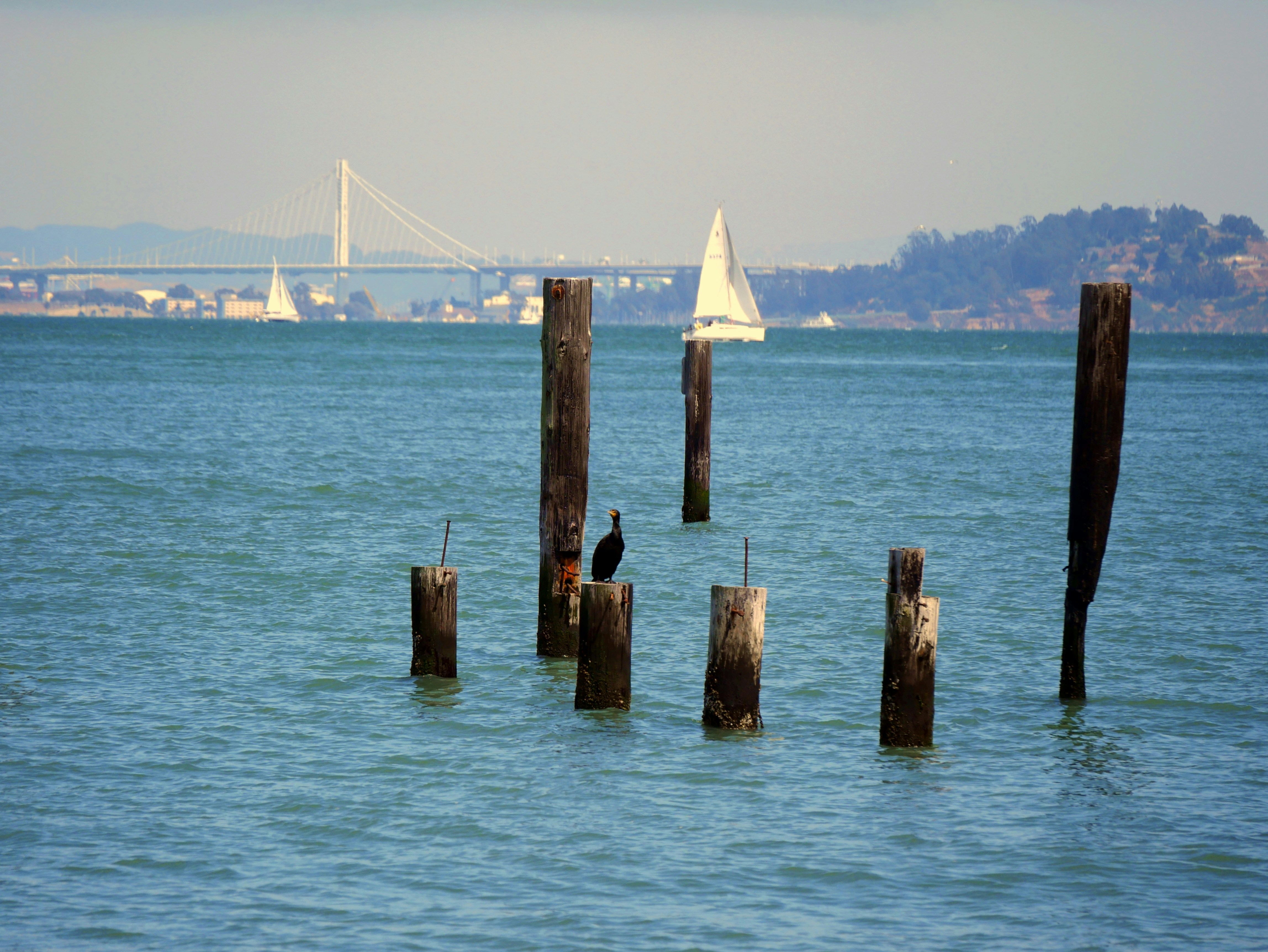 ION Sausalito Slide 1