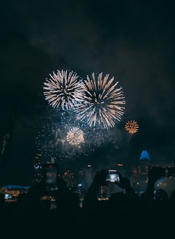 people watching fireworks display during night time