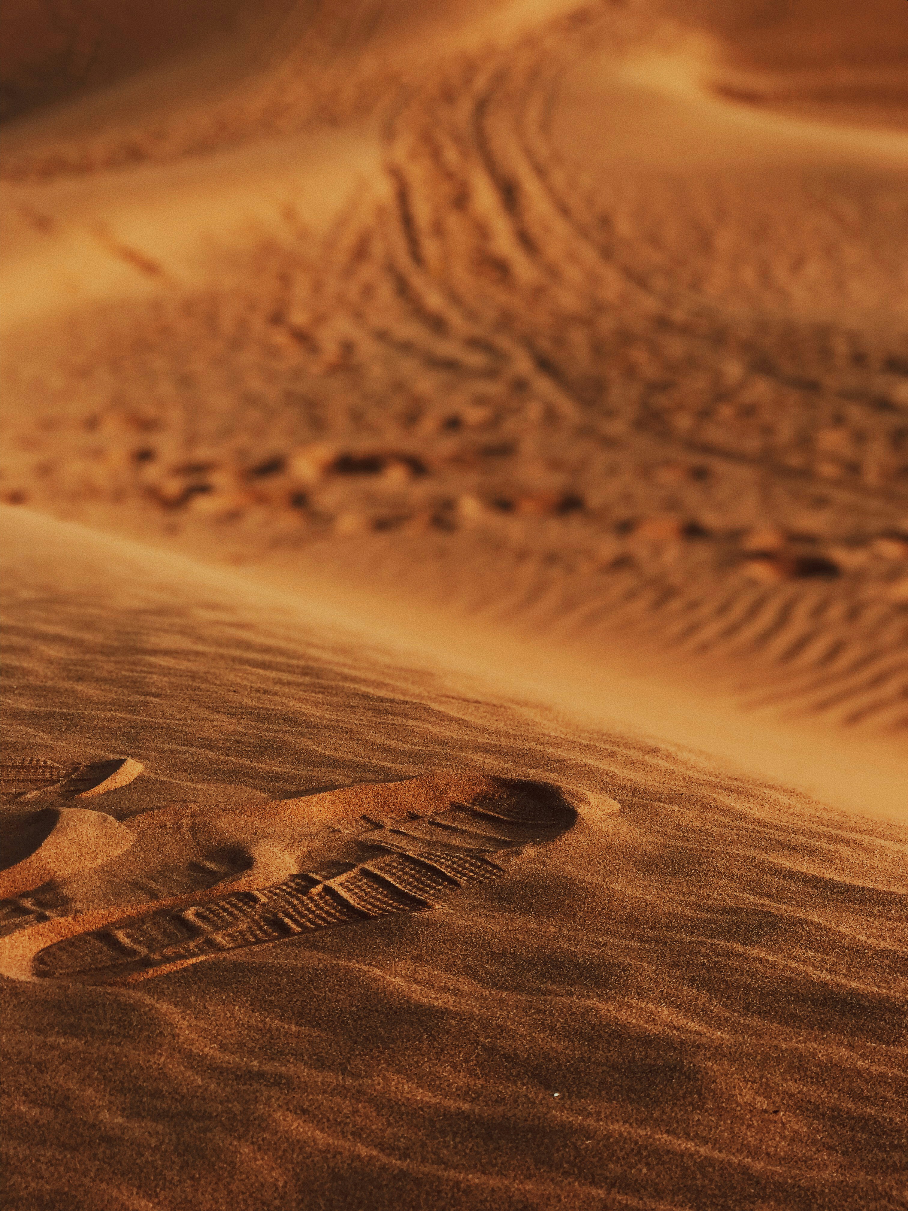 Photo by ivyaralianizar