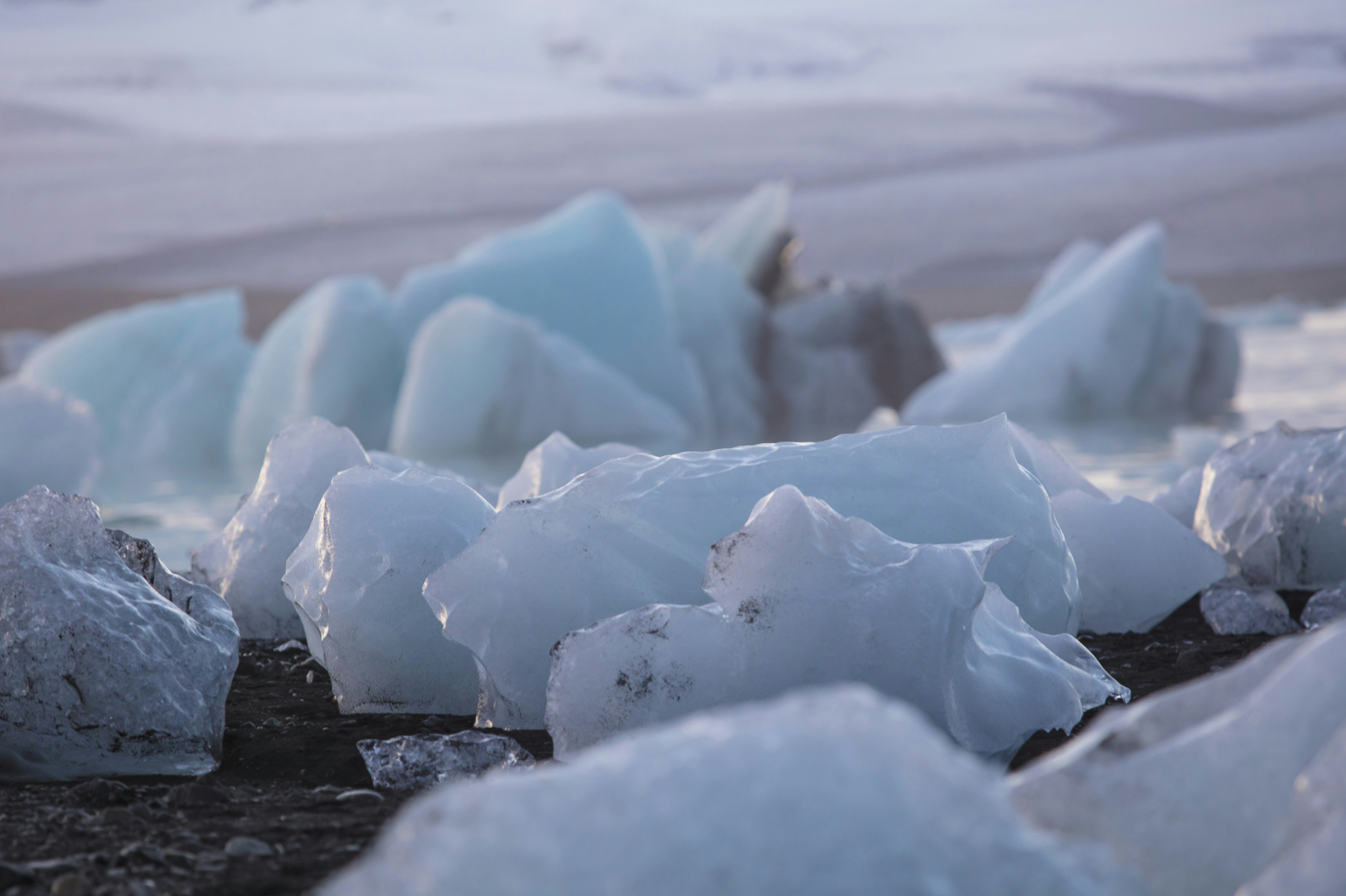 Photo by leo_visions_