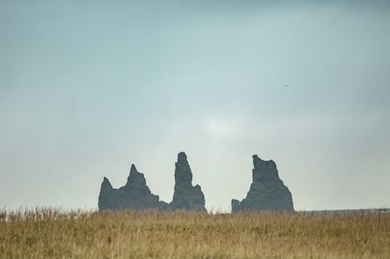 A serene view of the three stones of Cuesta surrounded by cerrado vegetation under a soft afternoon light.