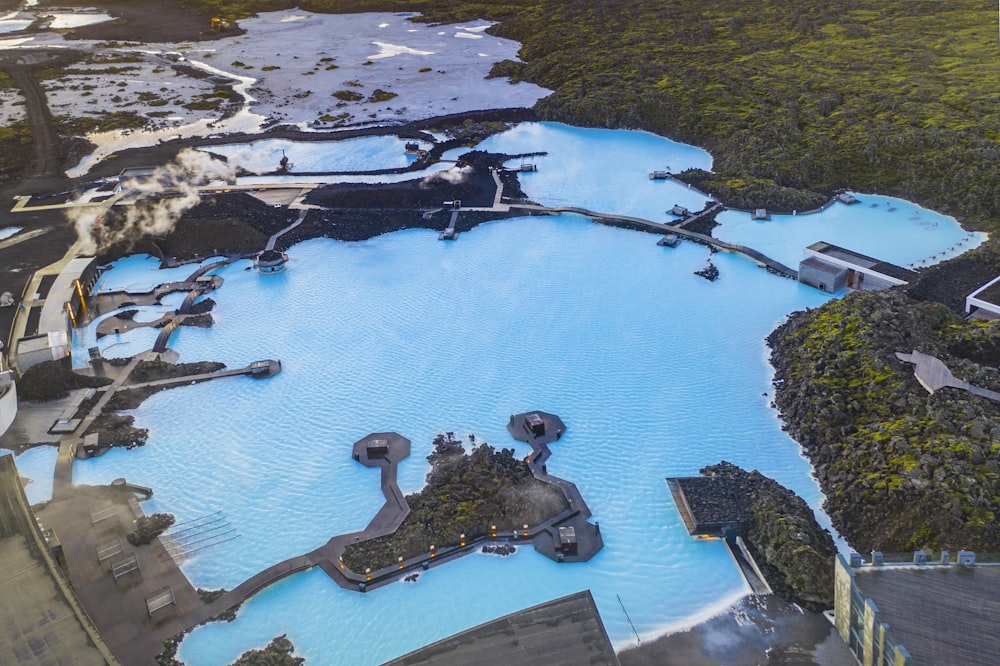 aerial view of green trees and body of water