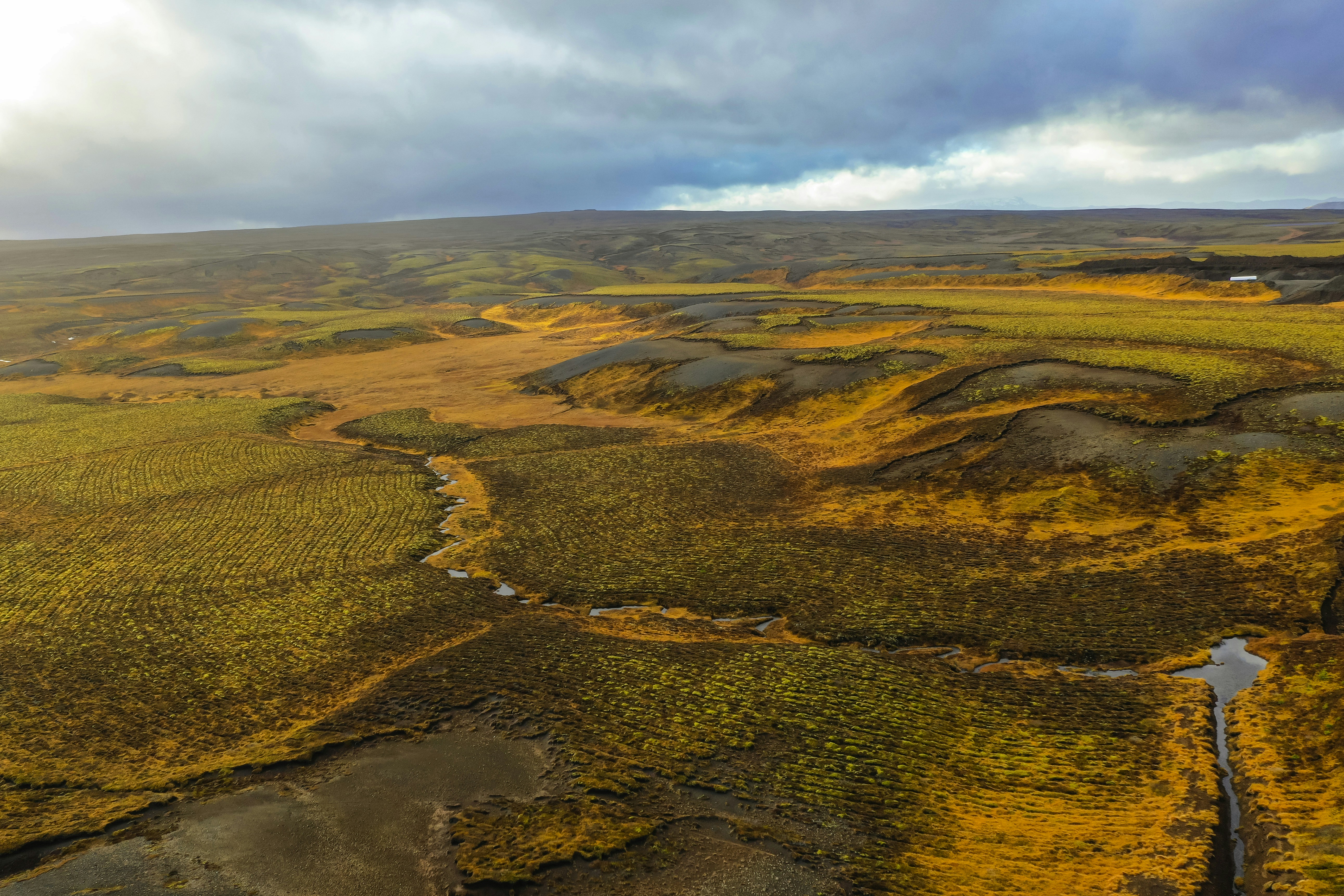 Photo by leo_visions_