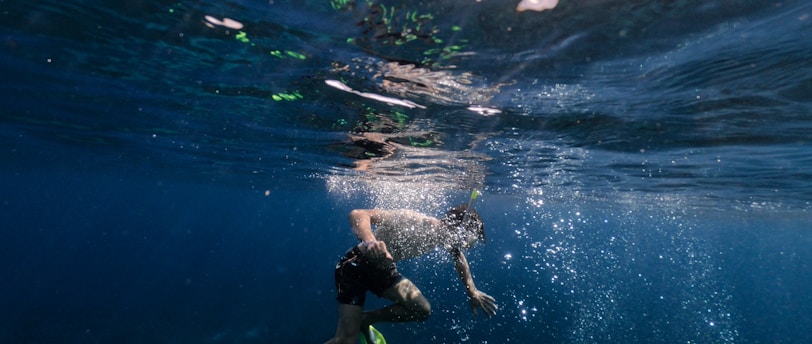 person in black wet suit under water