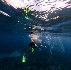 person in black wet suit under water