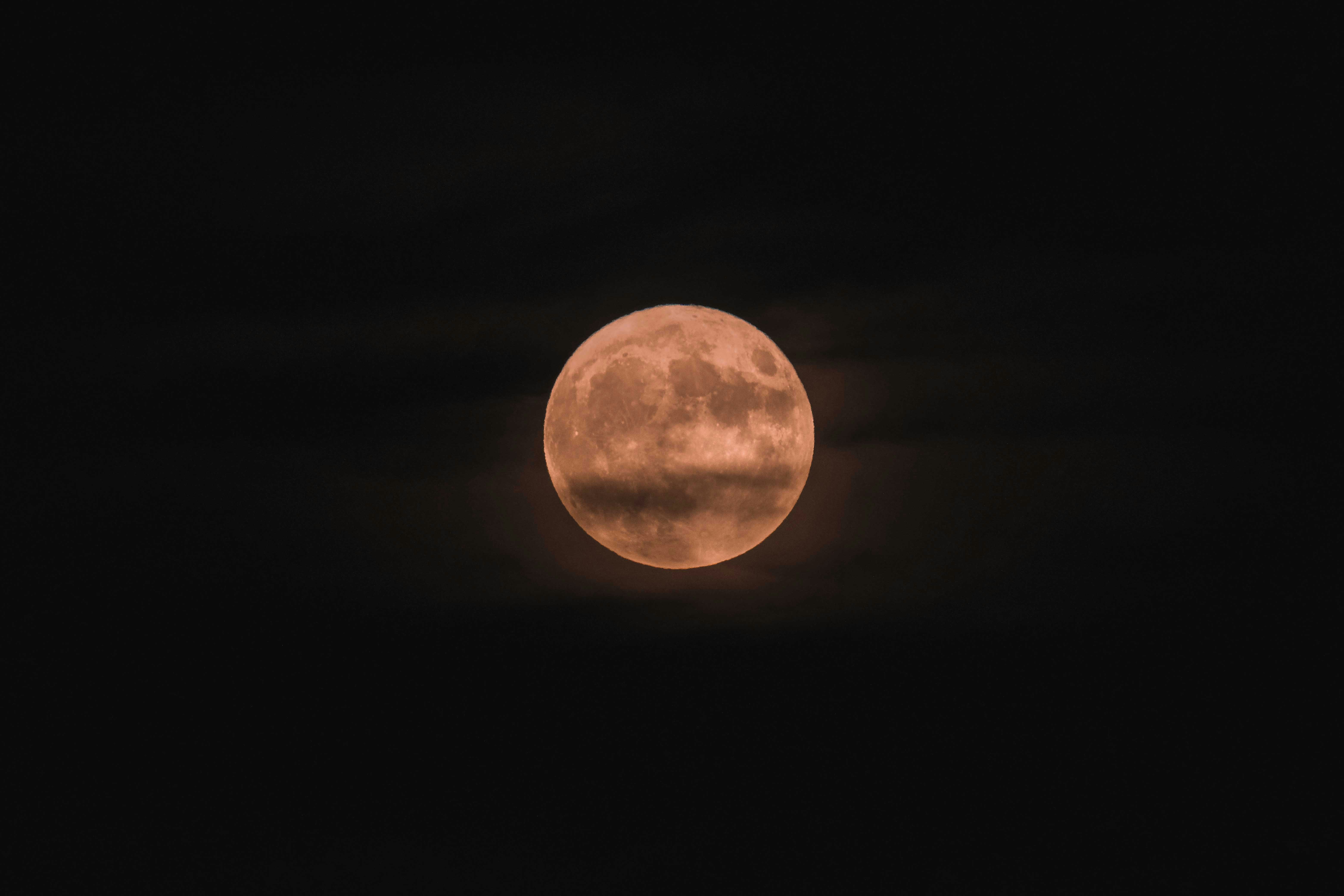 Photo by francesco_ungaro