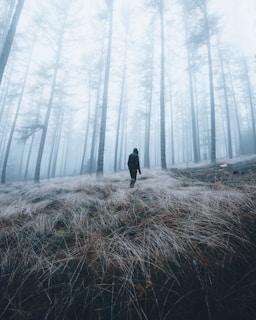 A lone traveler walking through a misty forest path at dawn.