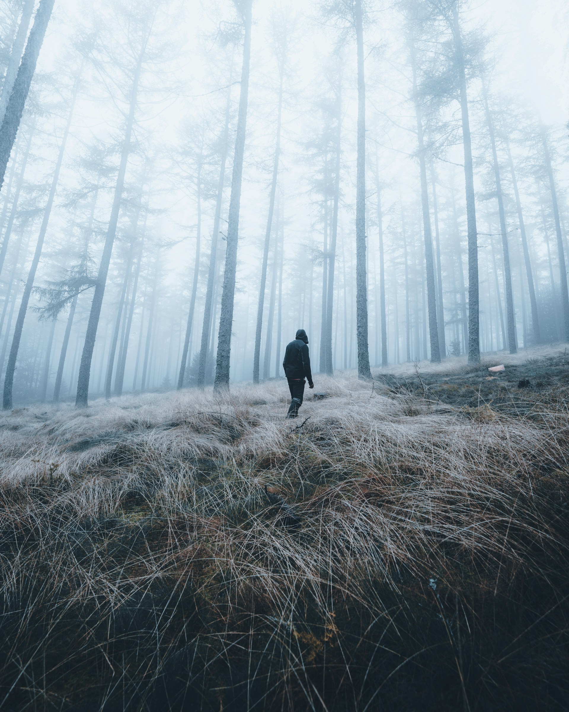 person in black jacket walking on brown grass field during daytime