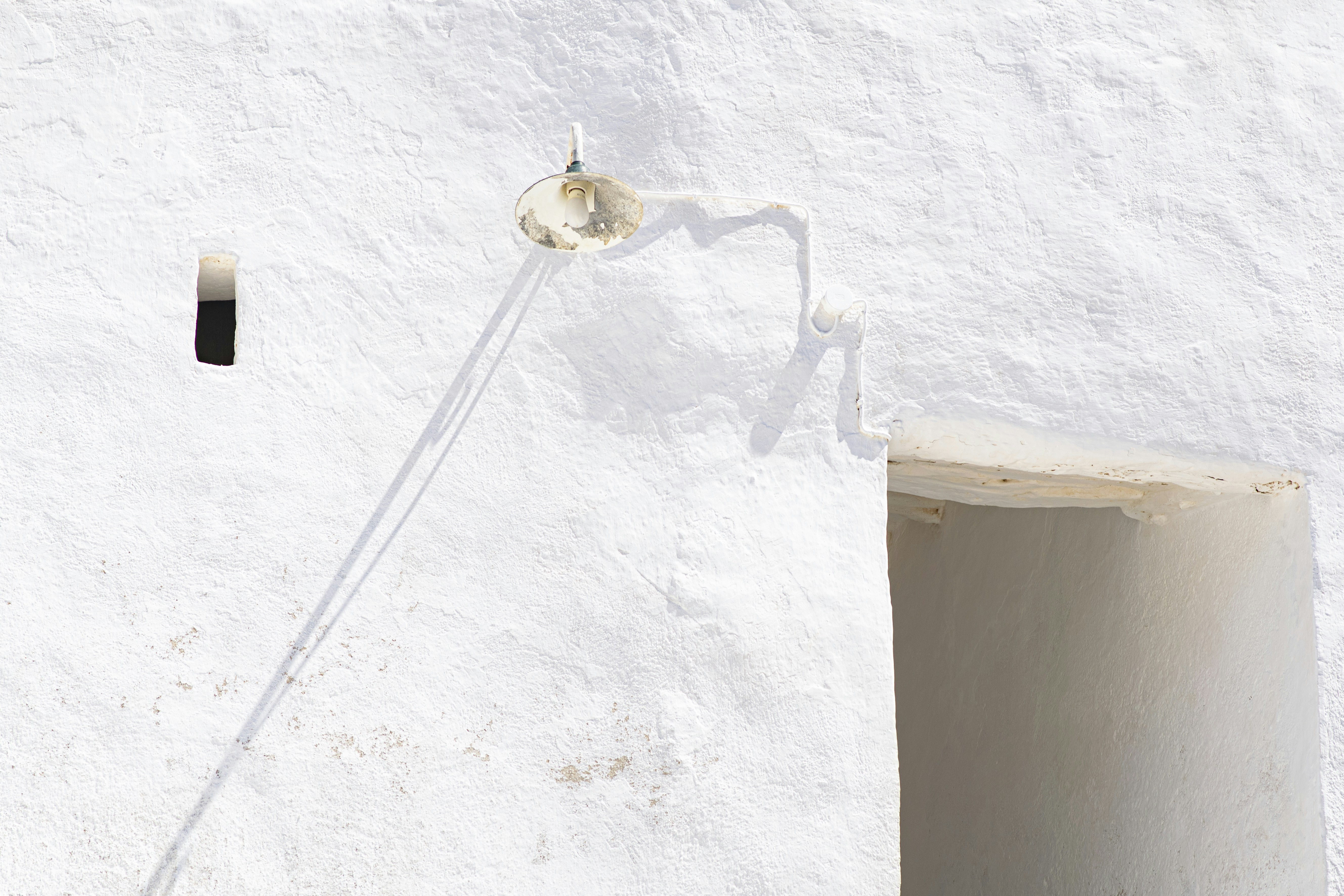 Photo by lauraadaiphoto