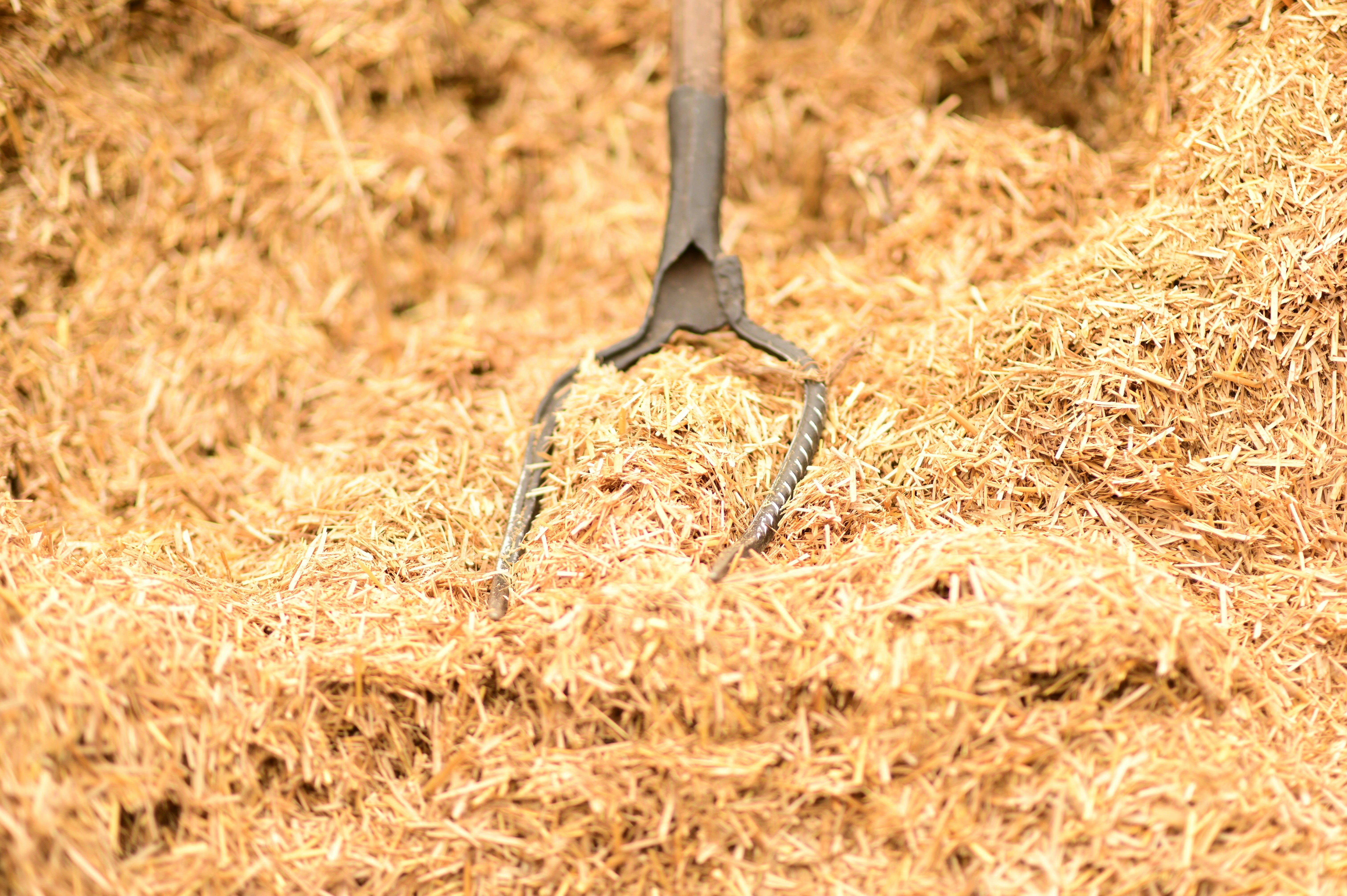Pea gravel mulch highlighting a neatly landscaped garden bed with various plants and flowers.