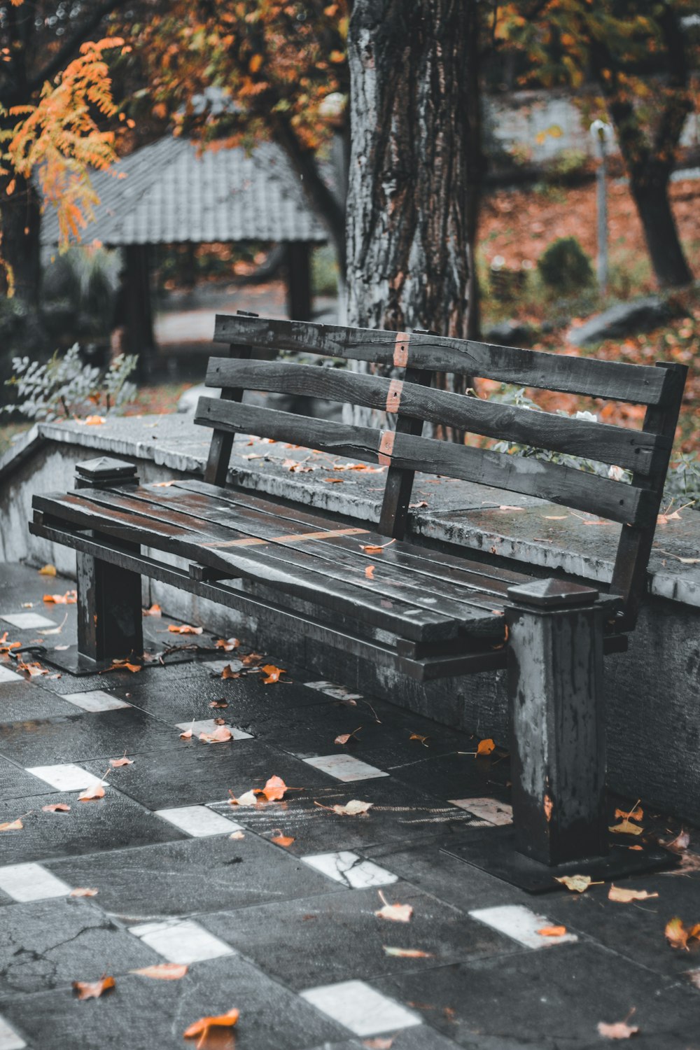 brown wooden bench near trees during daytime