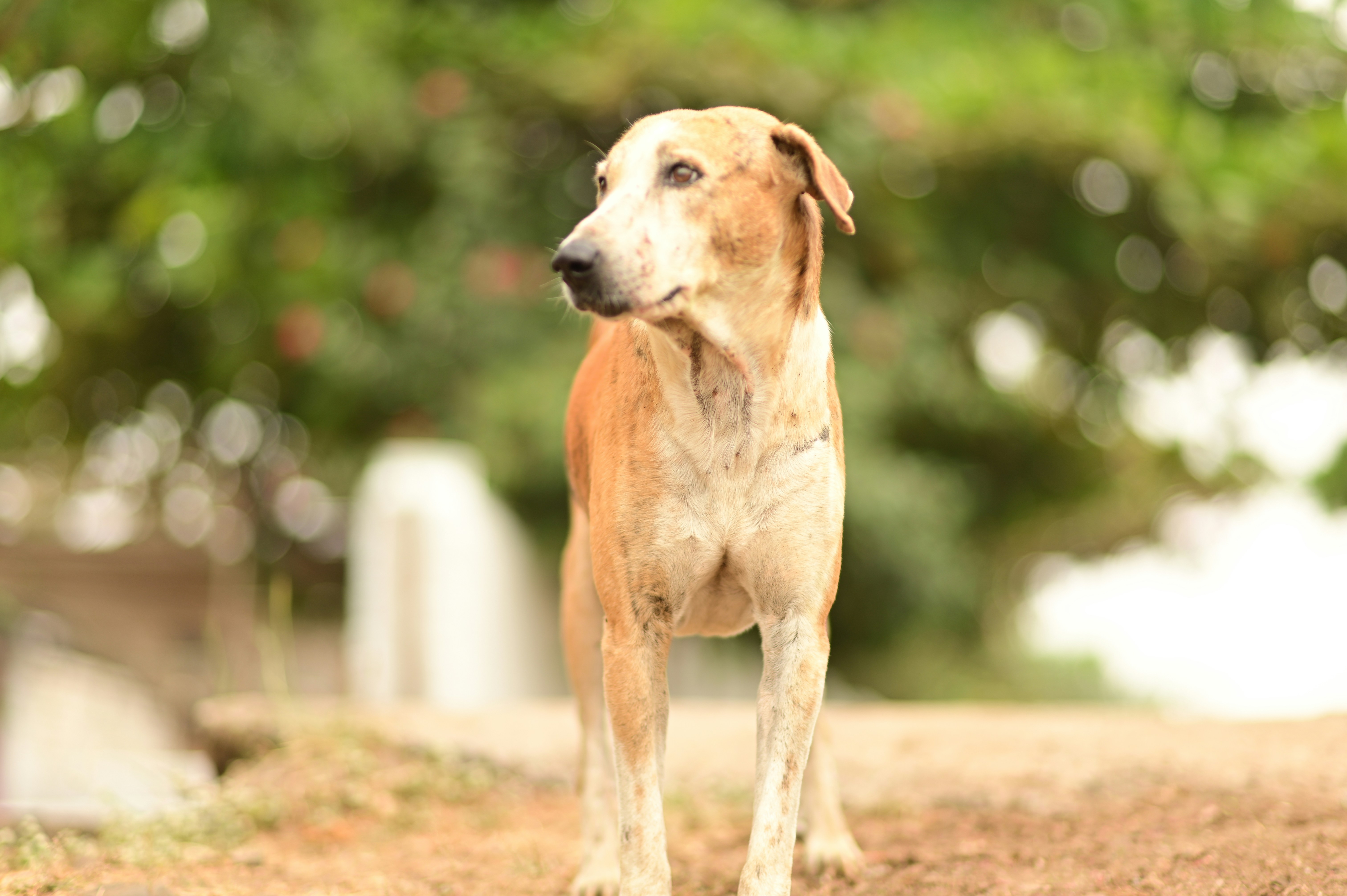 Photo by rrajputphotography