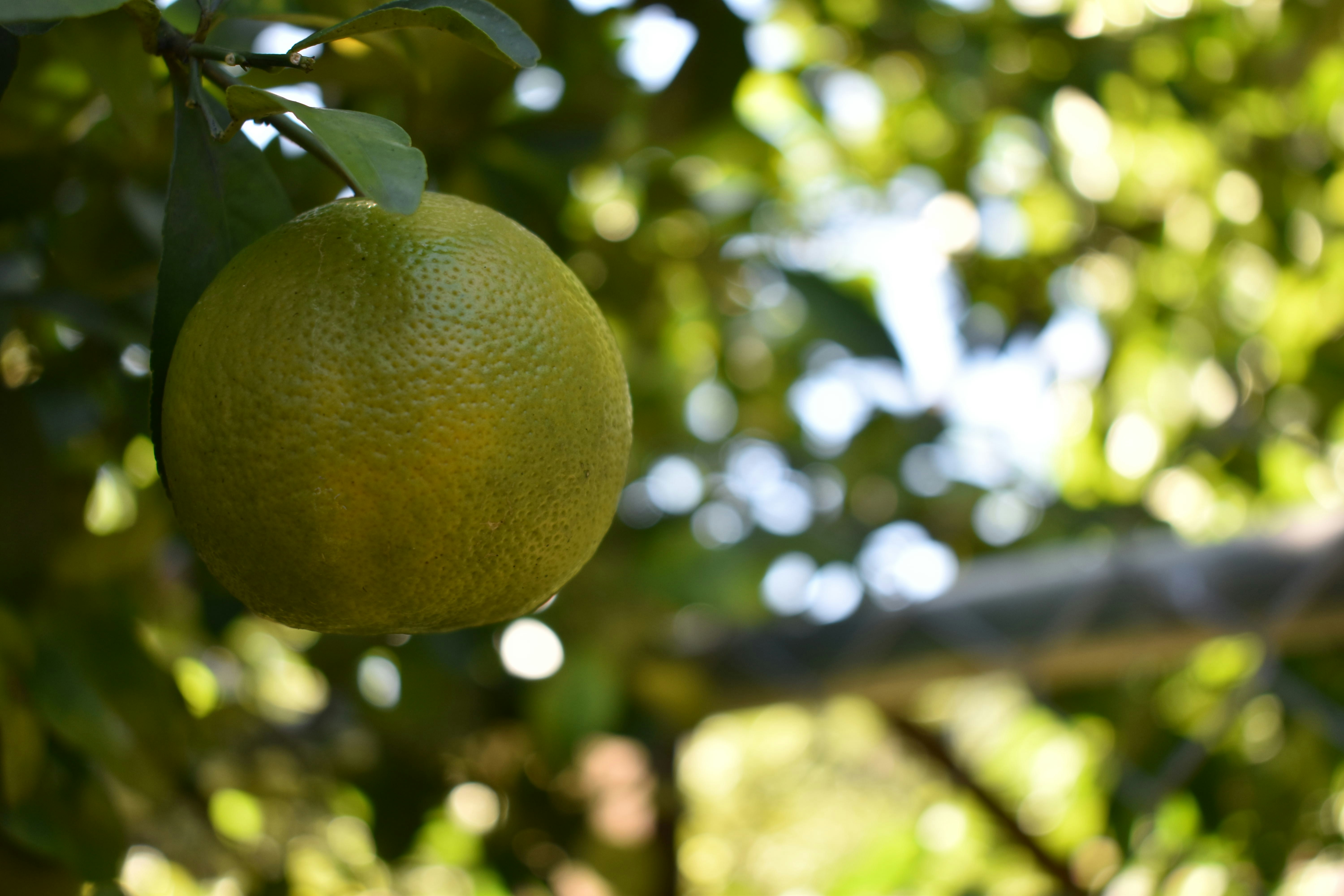 Photo by renecadenas