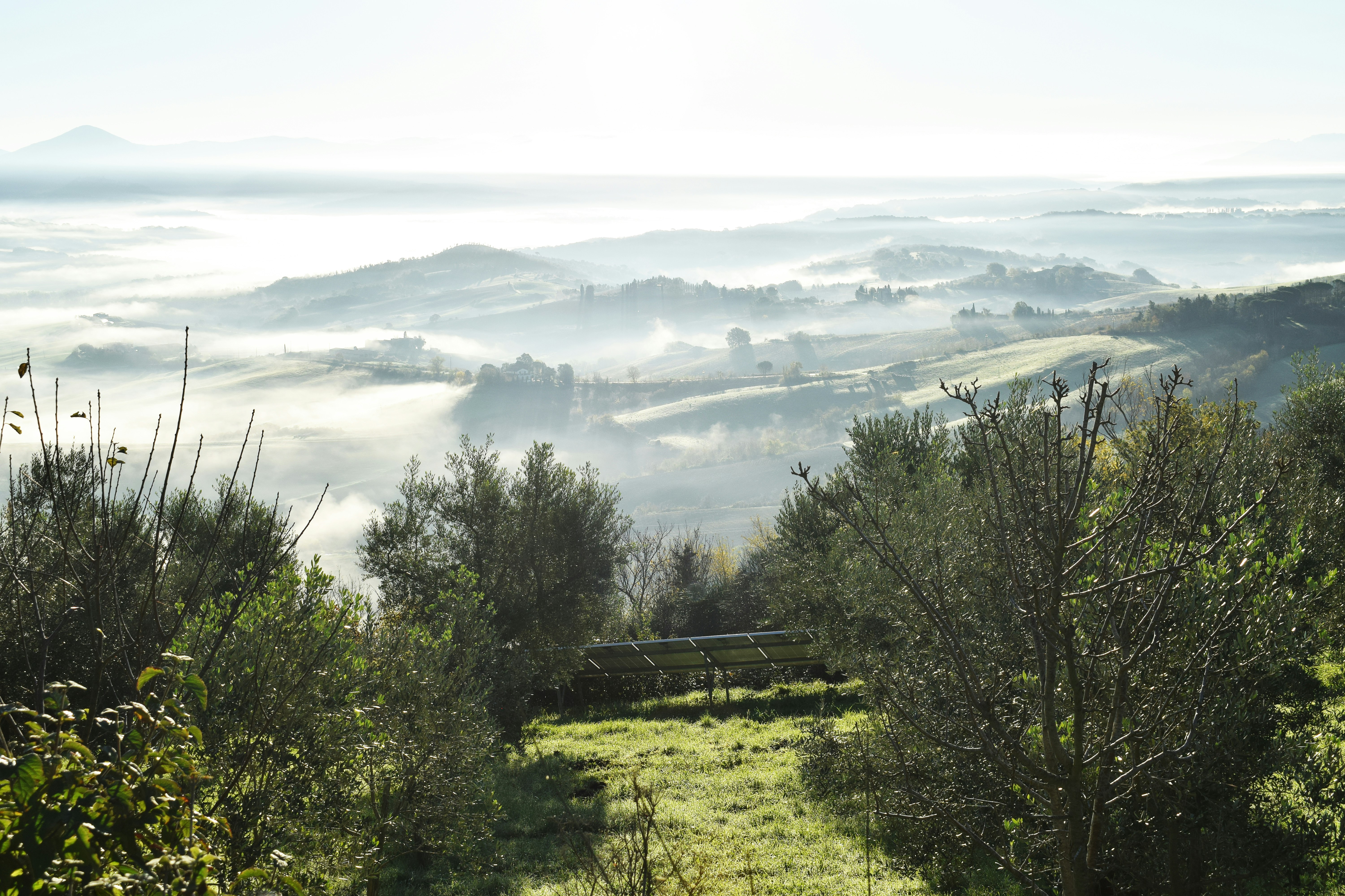 Green trees and mountains during daytime