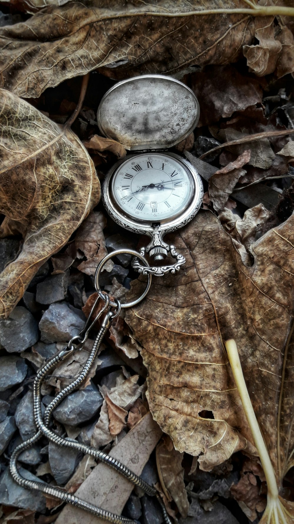 silver pocket watch on brown dried leaves