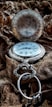 silver pocket watch on brown dried leaves