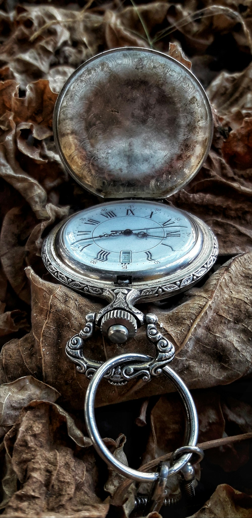 silver pocket watch on brown dried leaves